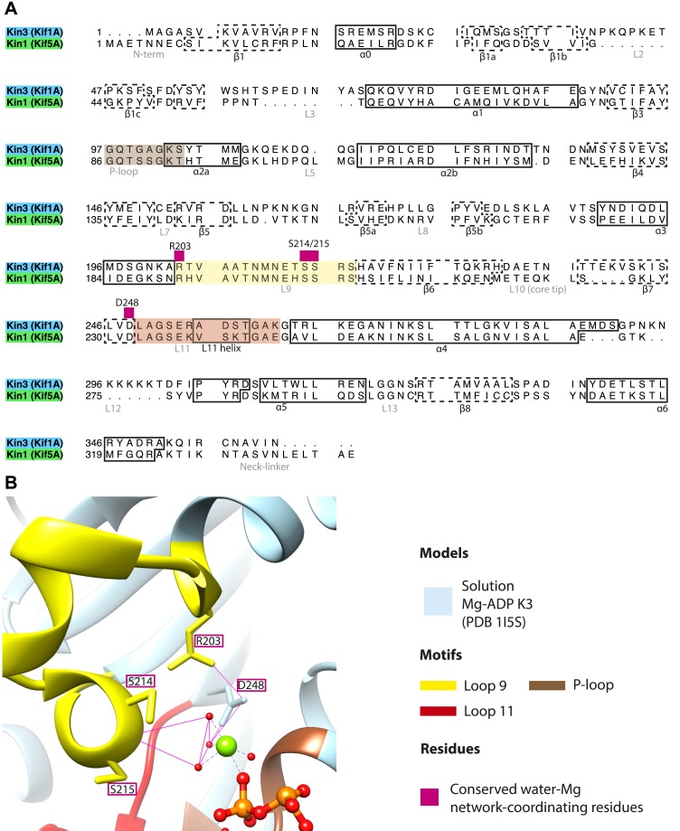 Figure 2—figure supplement 2.