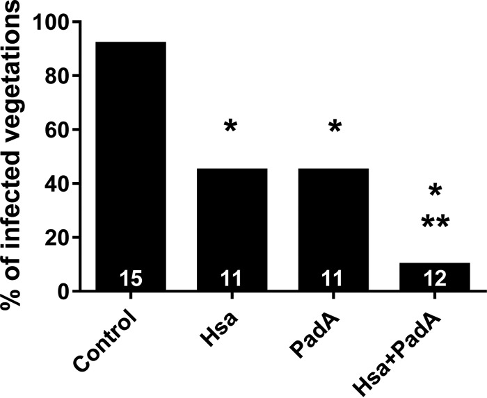 FIG 5