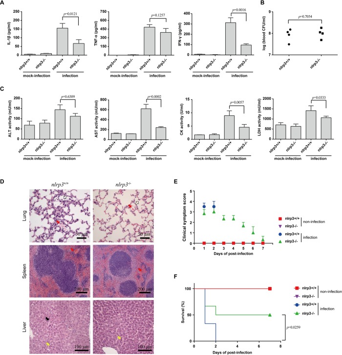 Fig 4