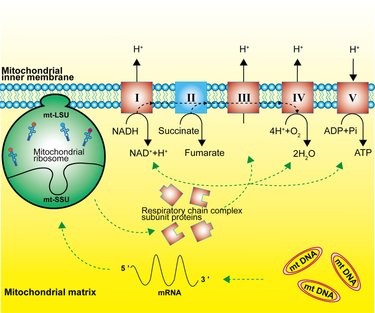 Figure 2