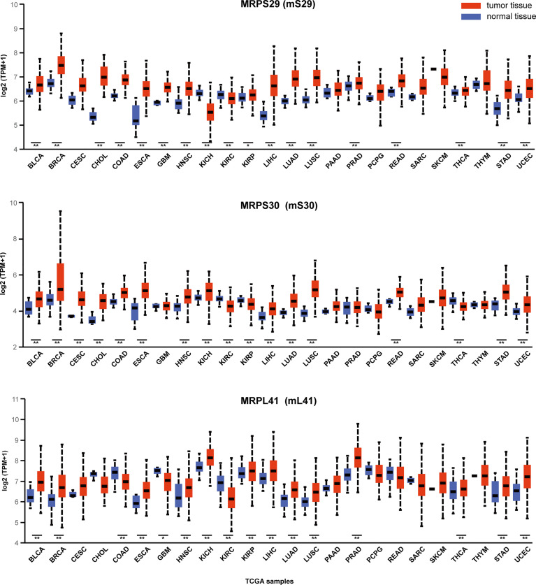 Figure 3