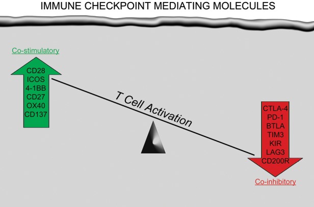 Fig. 2.