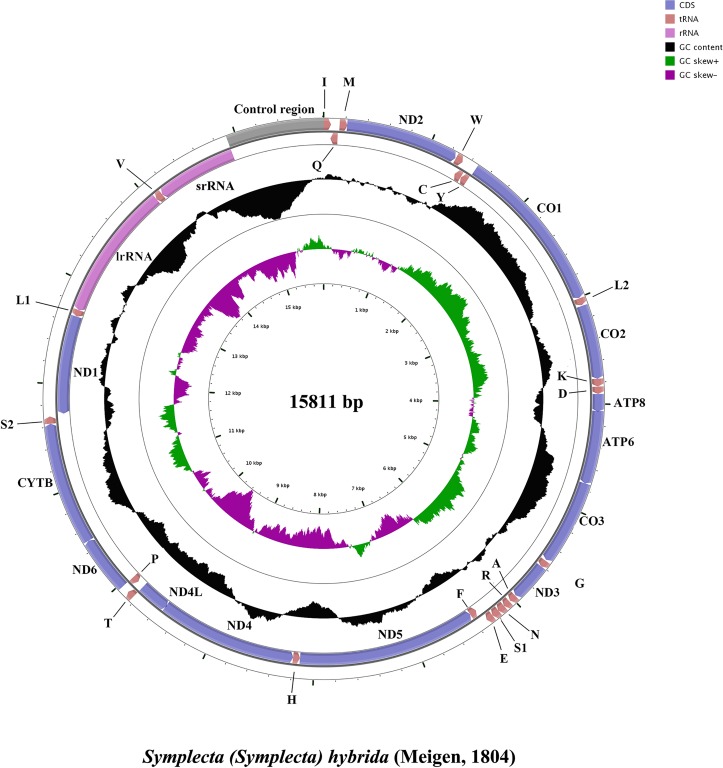 Fig 1