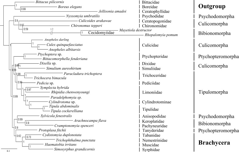 Fig 6