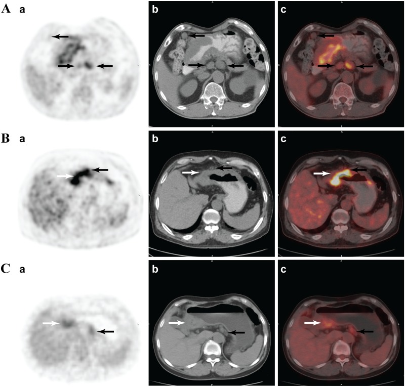 Fig 1