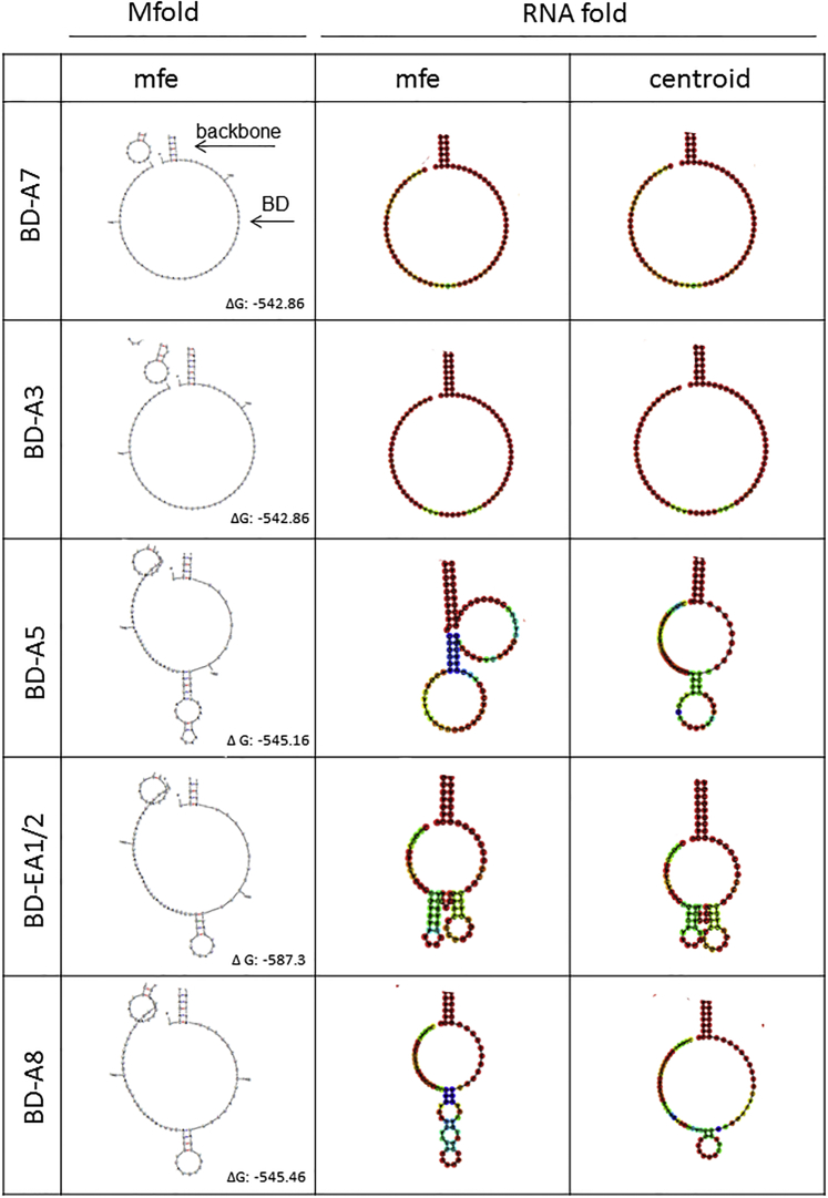 Figure 3