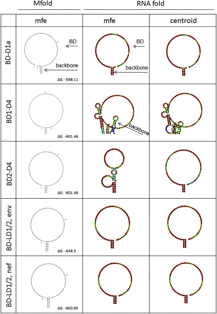 Figure 2