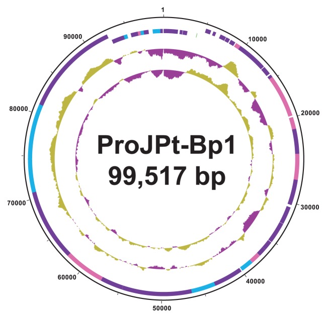 Fig. 1