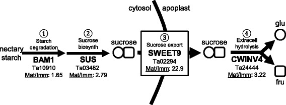 Fig. 5