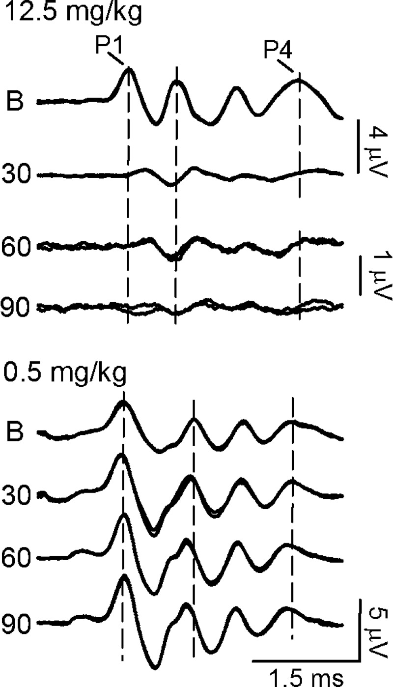 Fig. 6.