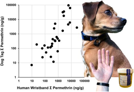 graphic file with name nihms-1643710-f0001.jpg