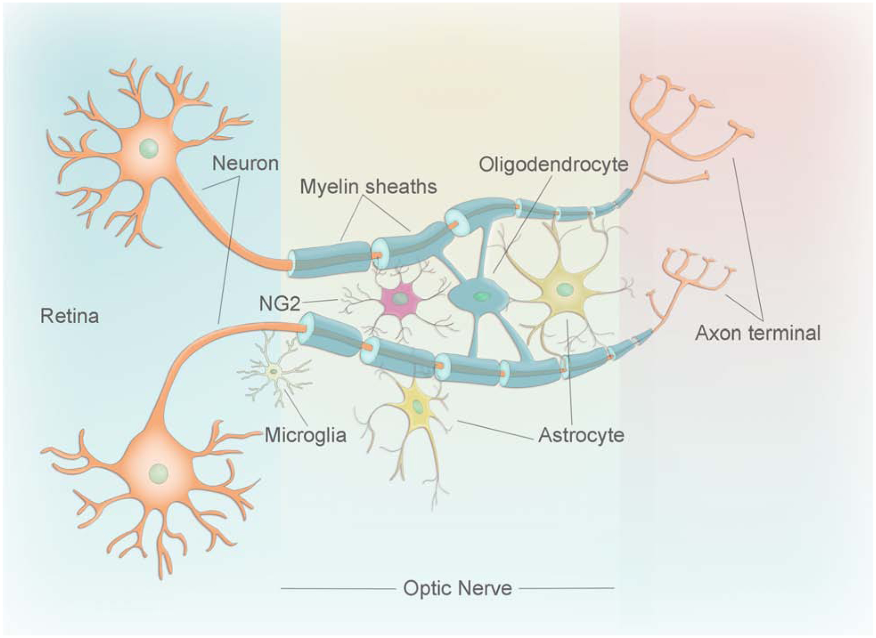 Figure 2: