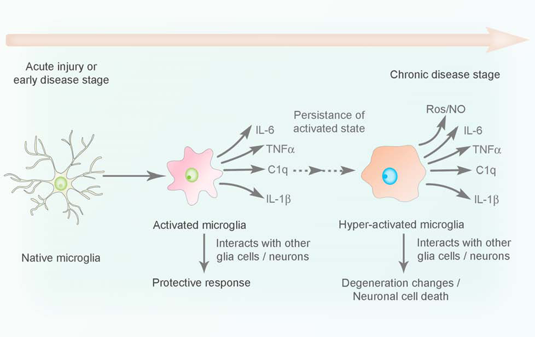 Figure 6: