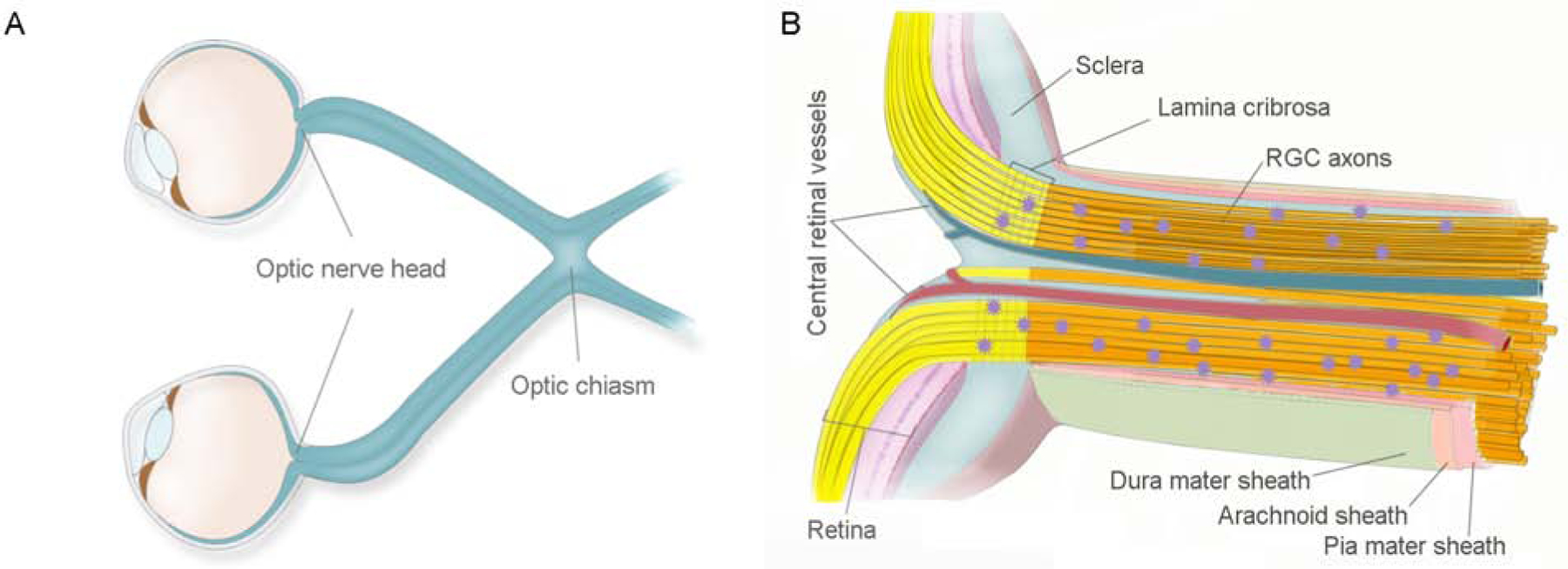 Figure 1: