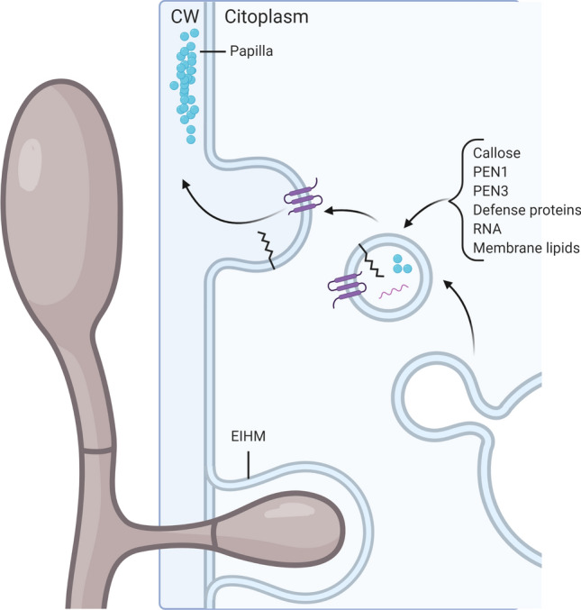 Fig. 2