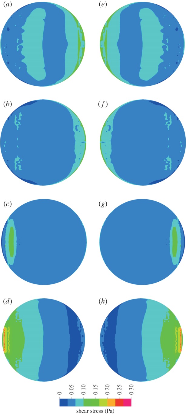 Figure 6.