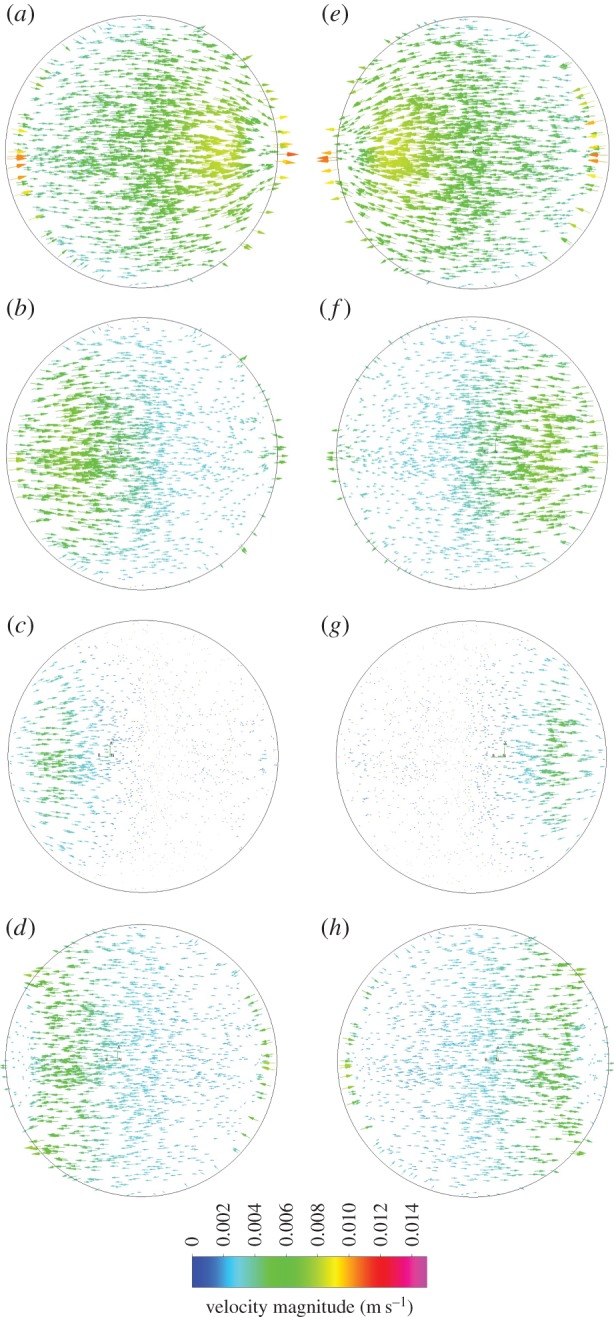 Figure 7.