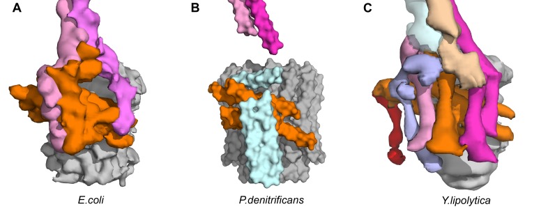 Figure 2—figure supplement 8.