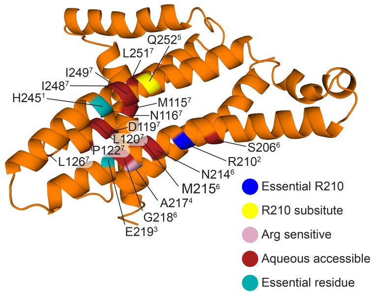 Figure 6—figure supplement 5.