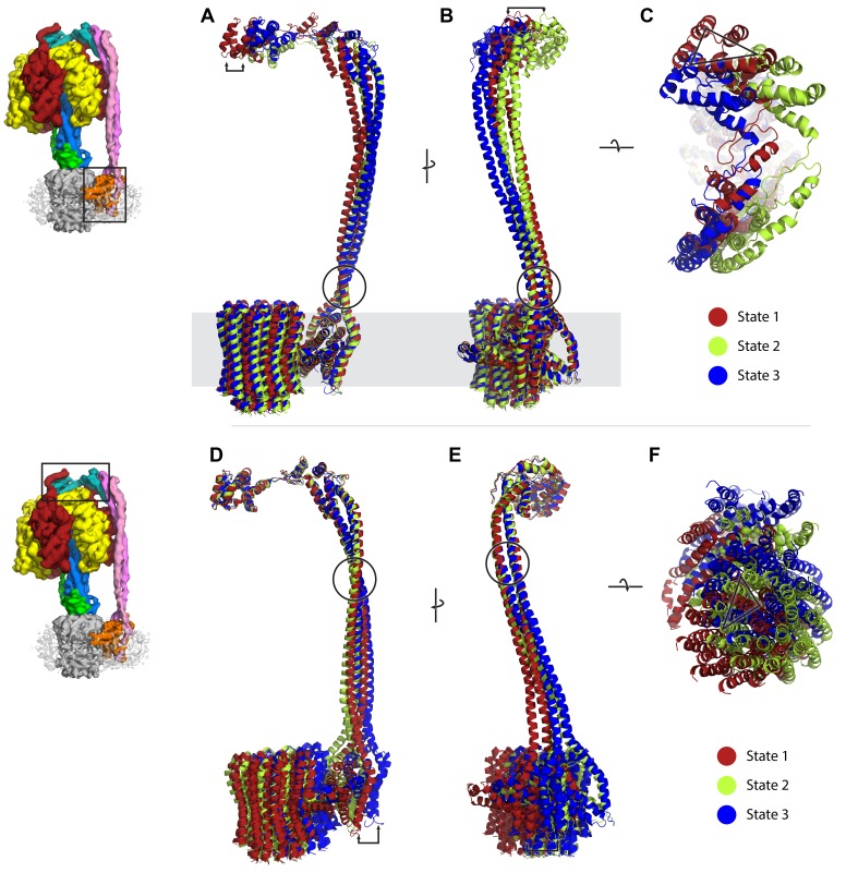 Figure 2—figure supplement 9.