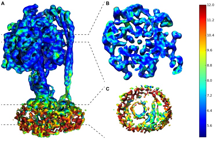 Figure 2—figure supplement 5.