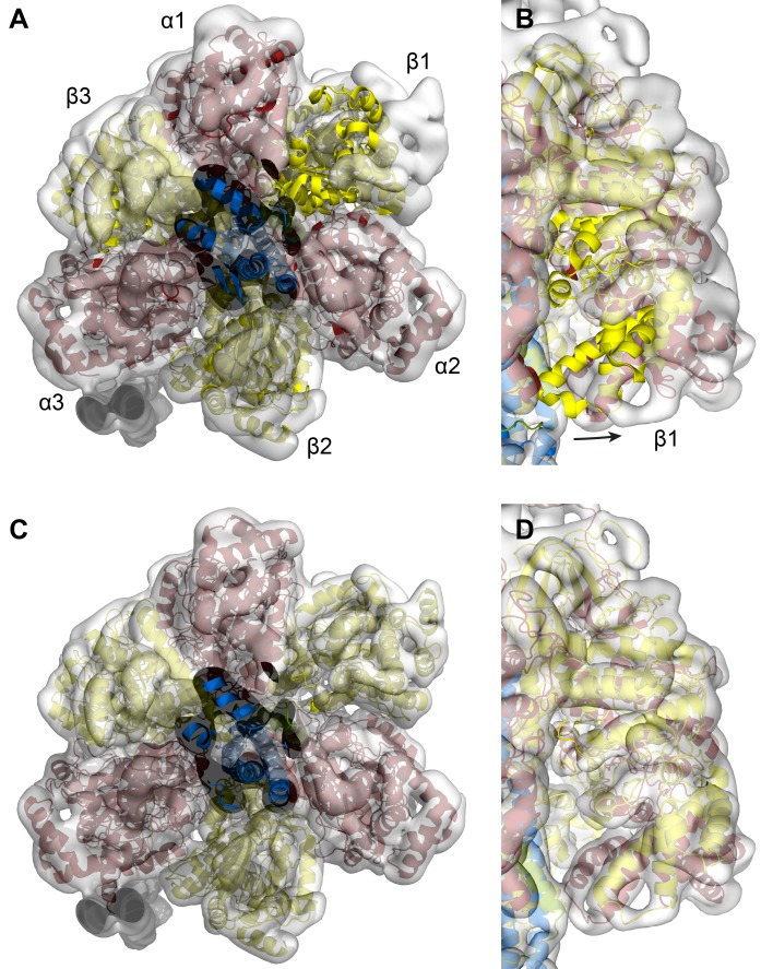 Figure 3—figure supplement 1.