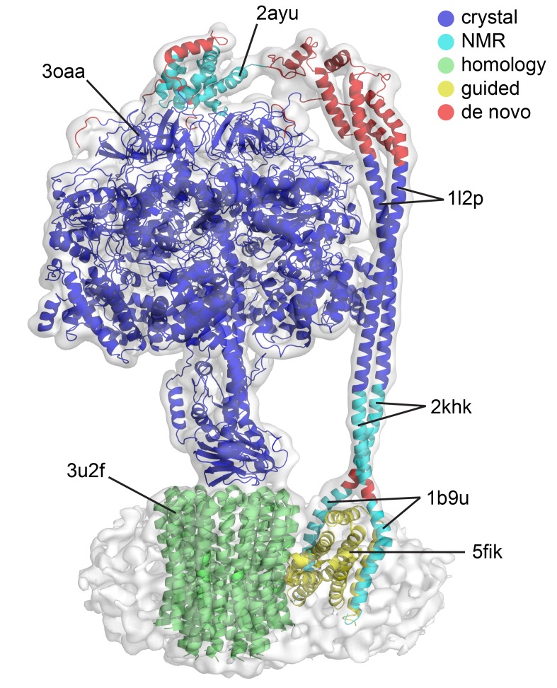 Figure 2—figure supplement 6.