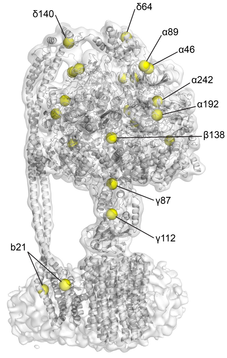 Figure 2—figure supplement 7.