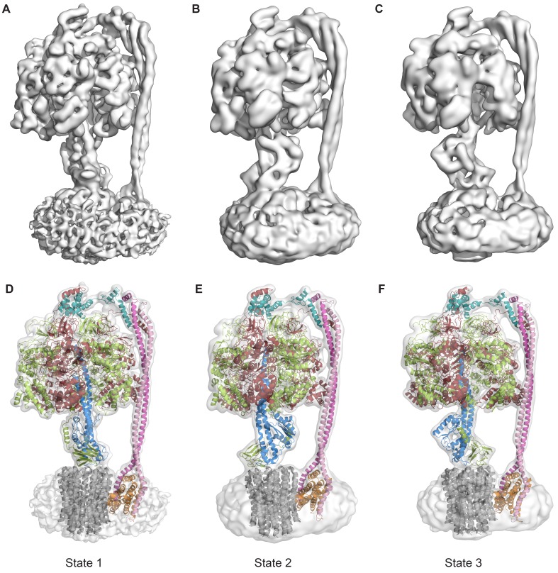 Figure 2.