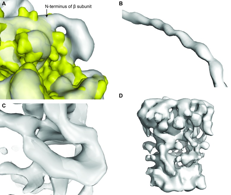 Figure 2—figure supplement 4.