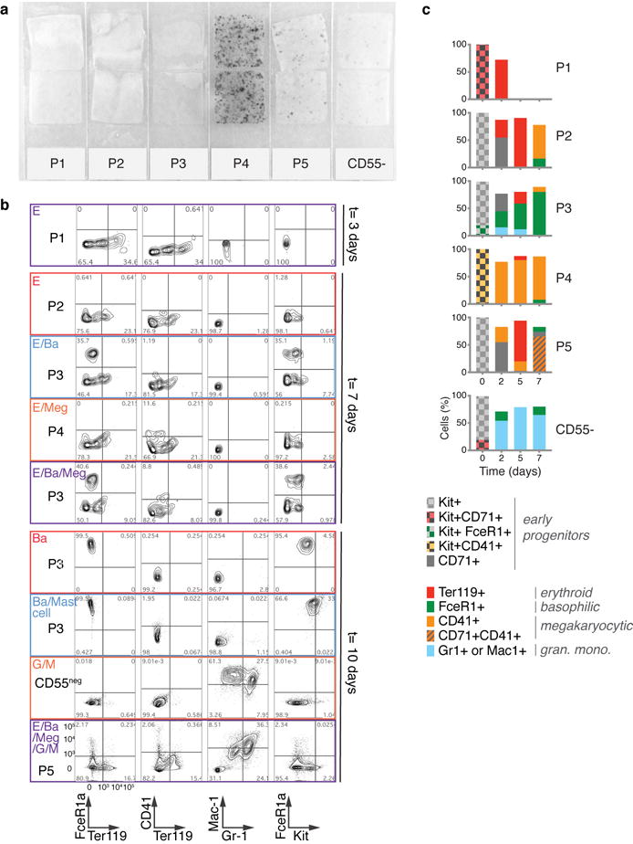 Extended Data Figure 4