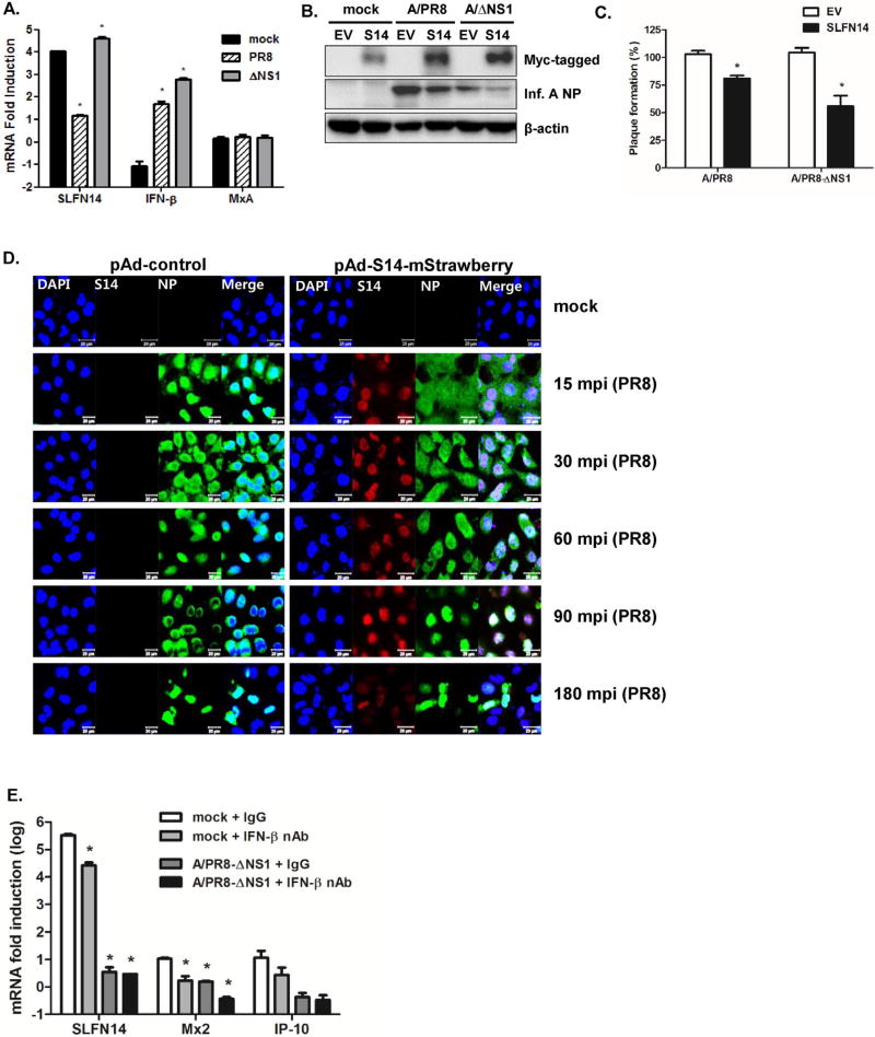 Fig. 4