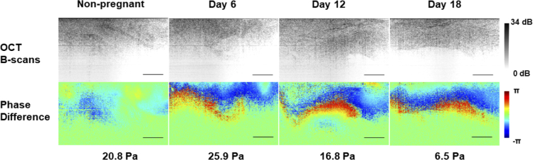 Fig. 4.