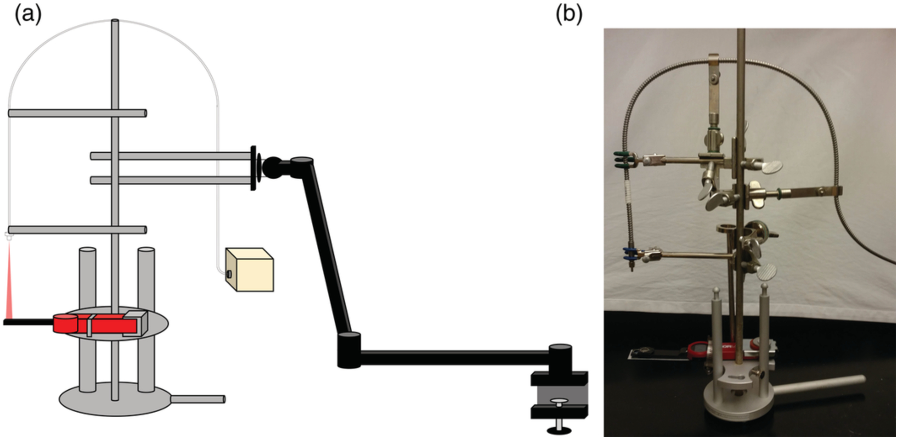 FIGURE 1