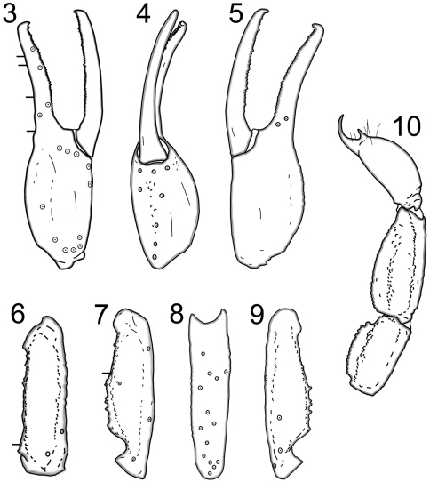 Figures 3–10.