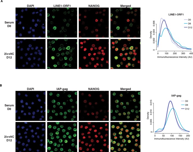 Figure 2—figure supplement 2.