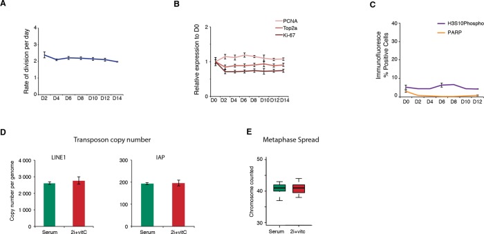 Figure 2—figure supplement 3.