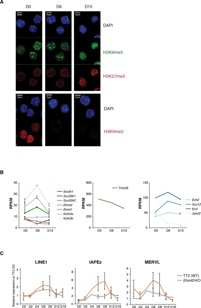 Figure 4—figure supplement 1.