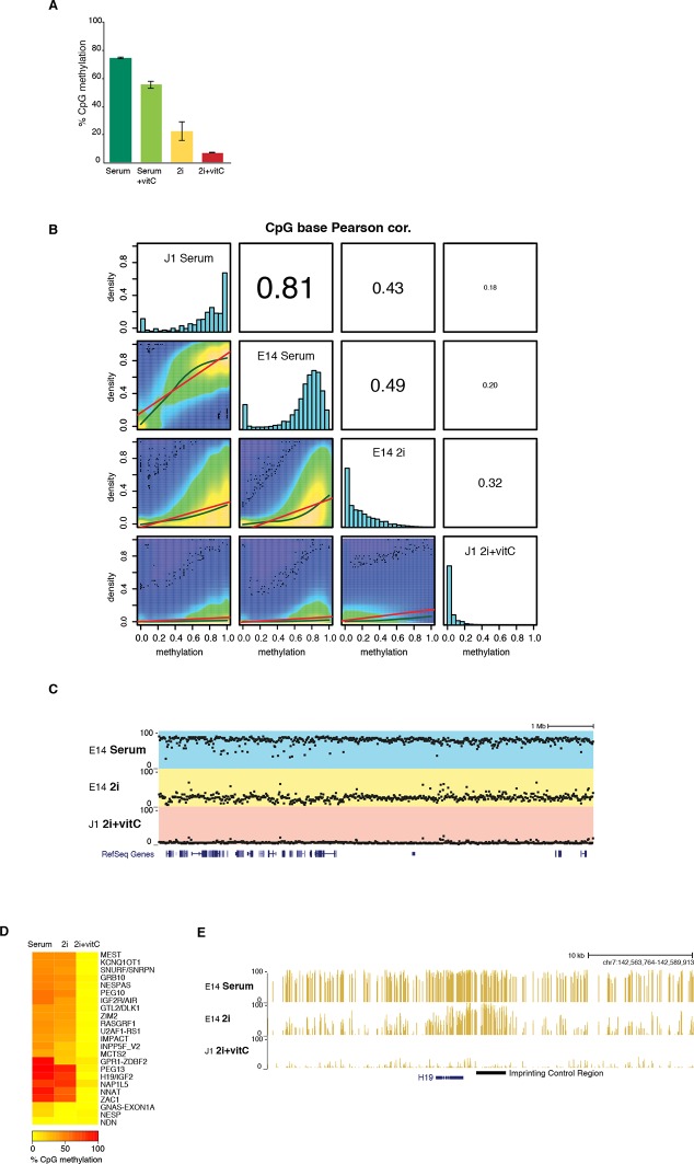 Figure 1—figure supplement 1.