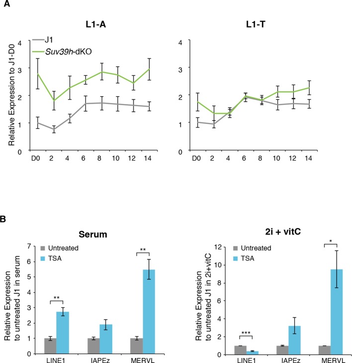 Figure 6—figure supplement 2.