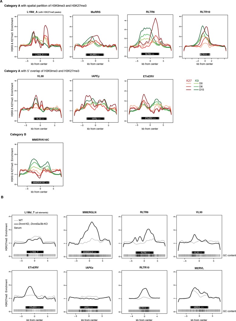 Figure 5—figure supplement 2.