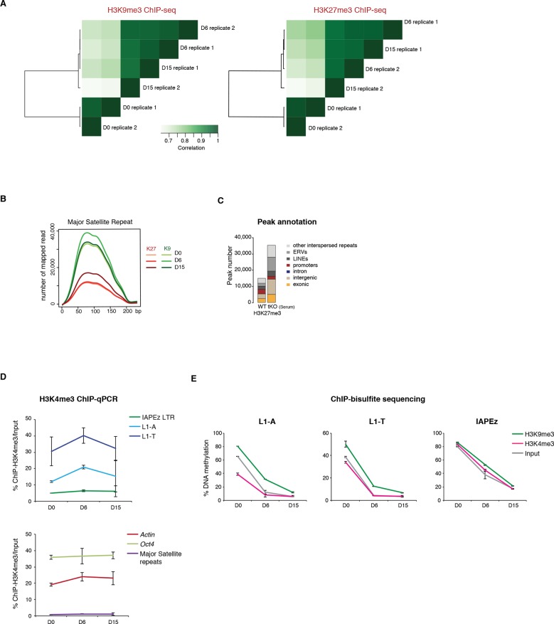 Figure 4—figure supplement 2.