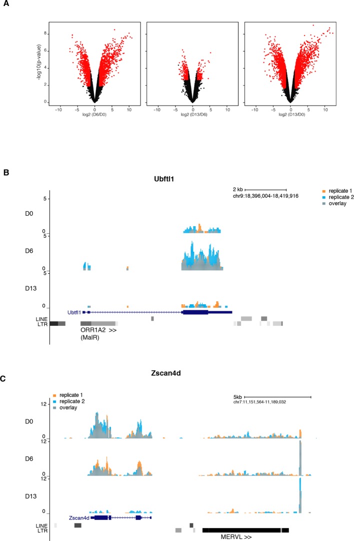 Figure 3—figure supplement 1.