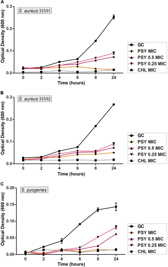 FIGURE 2