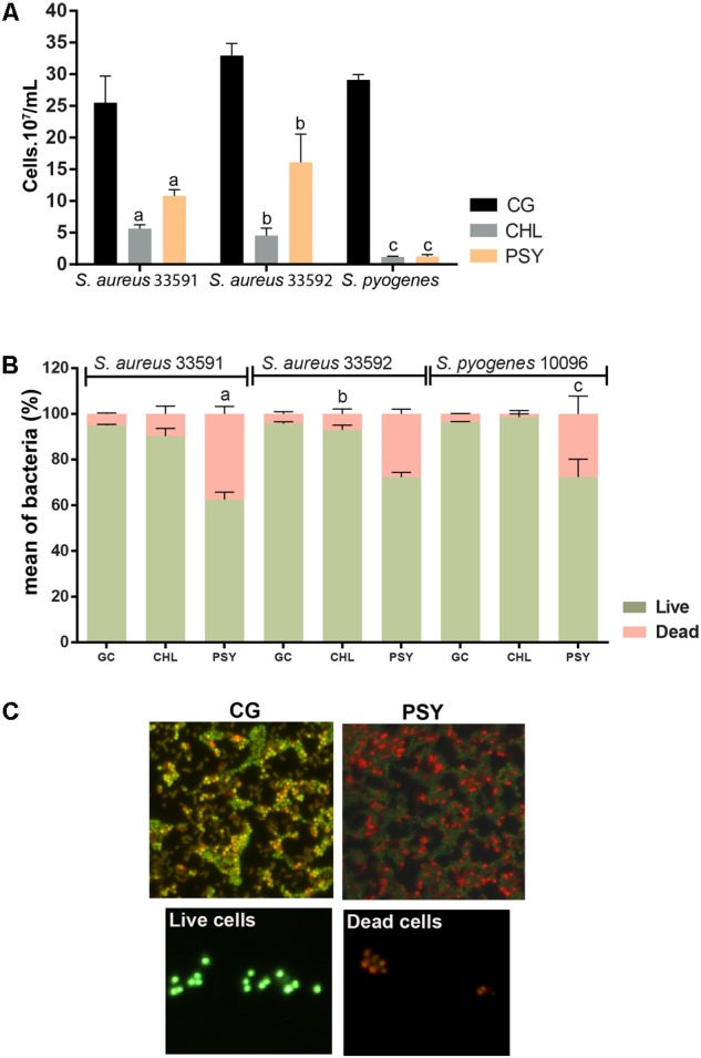 FIGURE 3