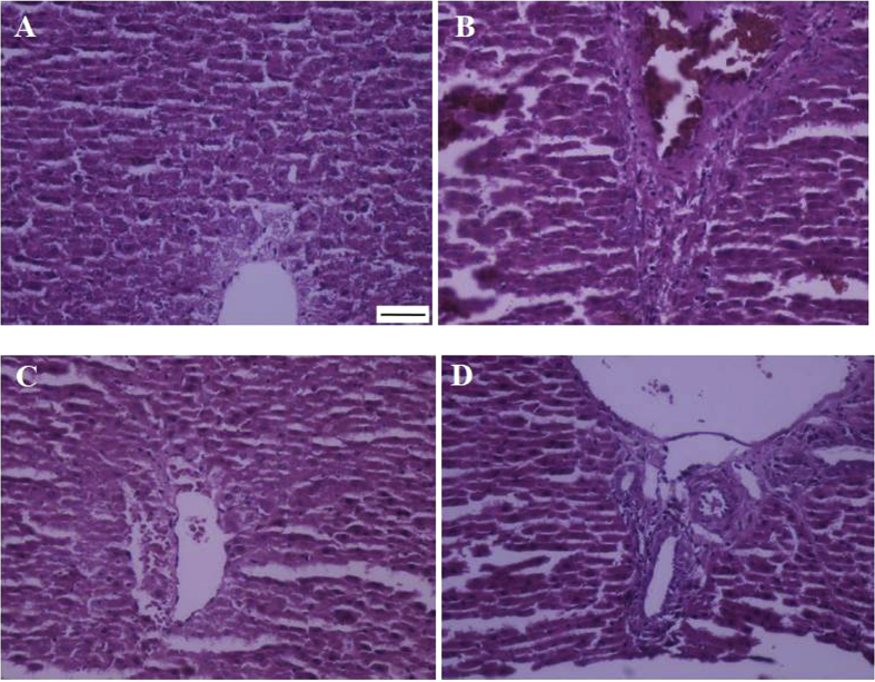 Fig. 4