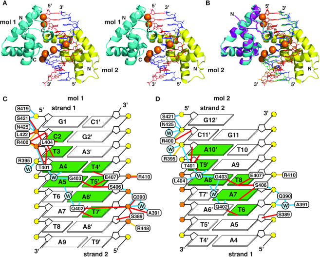 Figure 2.