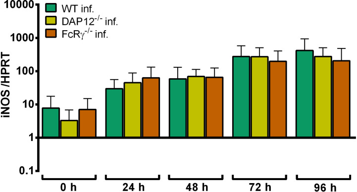 Figure 11