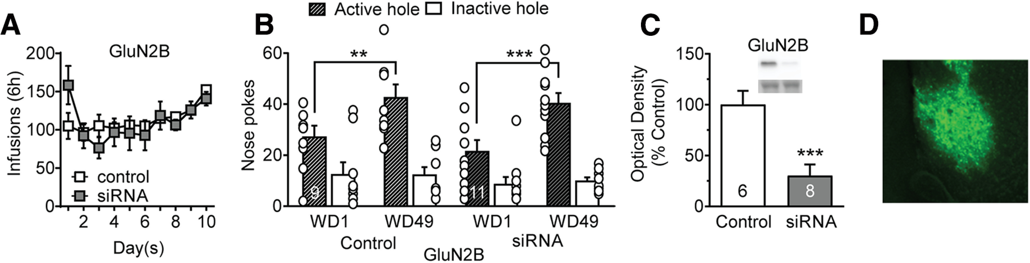 Figure 11.