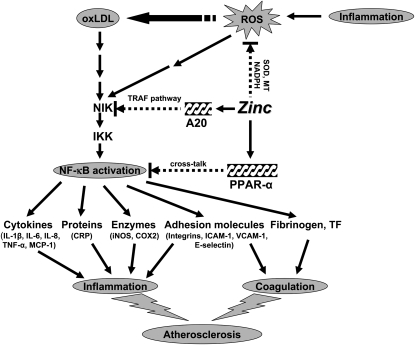 FIGURE 3